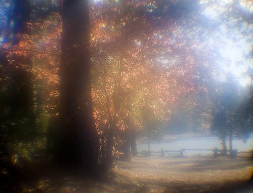 autumn scene shot with monocle